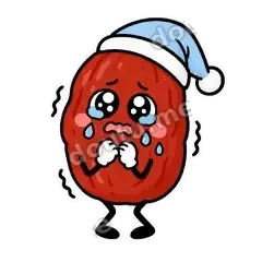 红枣困困第二弹