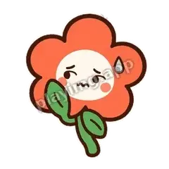 橘花尴尬 - 边框爽爽橘花表情