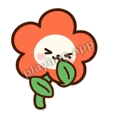 橘花坏笑 - 边框爽爽橘花表情