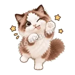 蓝眼布偶第二弹