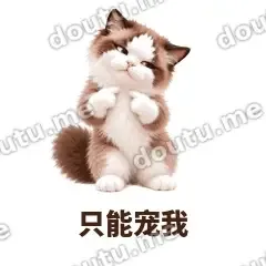 只能宠我 - 傲娇布偶表情