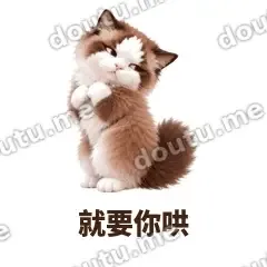 就要你哄 - 傲娇布偶表情