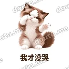 我才没哭 - 傲娇布偶表情