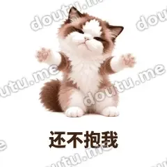 还不抱我 - 傲娇布偶表情