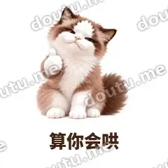 算你会哄 - 傲娇布偶表情