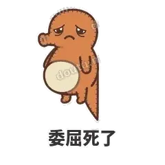 鼓袋小海马