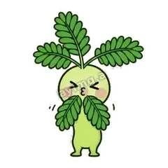 害羞含羞草