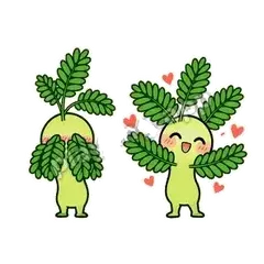 喜欢你 - 害羞含羞草表情