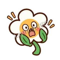 白花震惊 - 边框礼貌白花表情