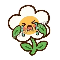 白花哭泣 - 边框礼貌白花表情