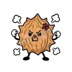 核桃想想第二弹