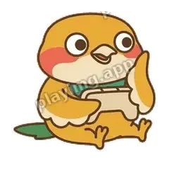 熬夜小夜鹰