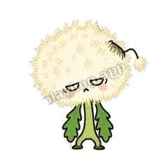 炸毛蒲公英